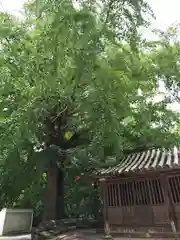 恩山寺(徳島県)