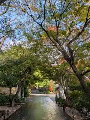 高円寺(東京都)