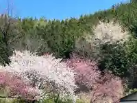 国宝 大法寺(長野県)