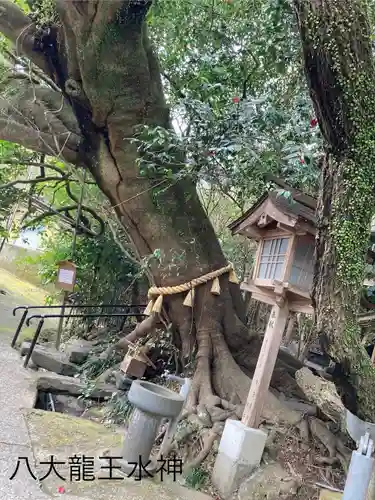 八大龍王水神(宮崎県)