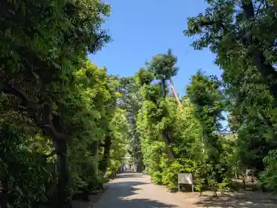 岩槻久伊豆神社(埼玉県)