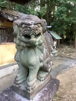 熊野社（塔野地東屋敷）の狛犬