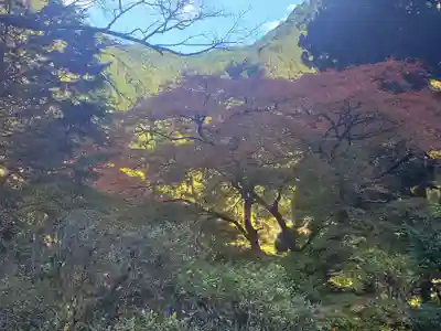 蓬莱神社の自然