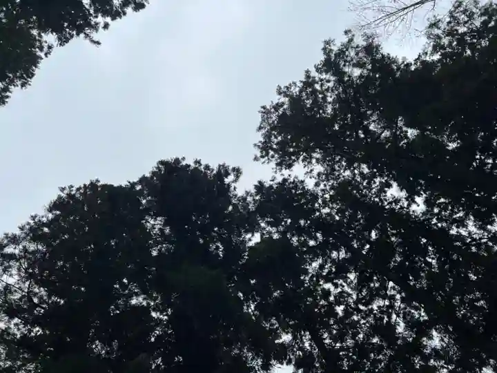 大宮温泉神社(栃木県)