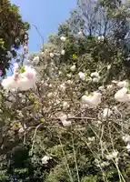 比佐豆知神社(三重県)