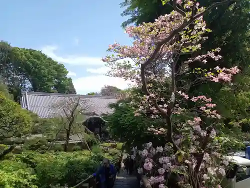 東長谷寺　薬王院(東京都)