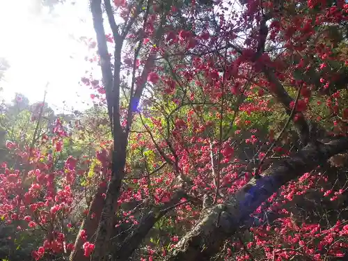 御霊神社の景色