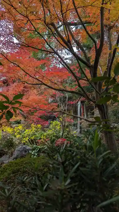 長岡天満宮(京都府)