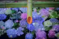 伊勢山皇大神宮の手水舎