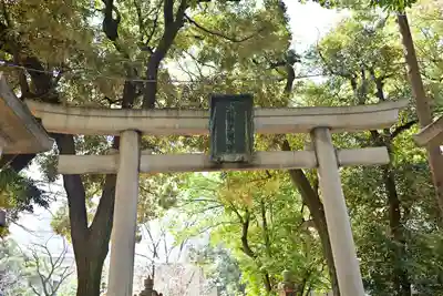 赤坂氷川神社の鳥居