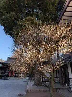 熊野神社(東京都)