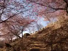 楽法寺（雨引観音）の自然