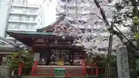 秋葉神社の本殿・本堂