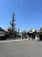 子安八幡神社(北糀谷)の{uncategorized: "未分類", other: "その他", undefined: "問題あり", building: "その他建物", grave: "お墓", sacred_gate: "鳥居", guardian: "狛犬", statue: "像", buddha: "仏像", history: "歴史", nature: "自然", garden: "庭園", animal: "動物", pagoda: "塔", temizu: "手水舎", mountain_gate: "山門・神門", sanctuary: "本殿・本堂", subordinate: "末社・摂社", art: "芸術", scenery: "景色", jizo: "地蔵", ema: "絵馬", goshuin: "御朱印", omikuji: "おみくじ", items: "授与品その他", amulet: "お守り", goshuincho: "御朱印帳", eats: "食事", festival: "お祭り", votive_dance: "神楽", shichigosan: "七五三参", wedding: "結婚式", experience: "体験その他", initially: "初詣", around: "周辺", anti_infection: "感染症対策"}
