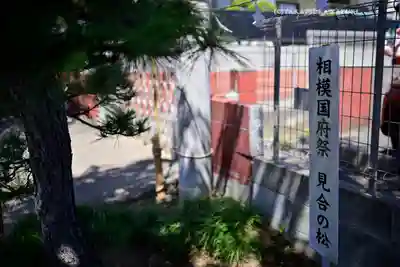 相模国総社六所神社(神奈川県)