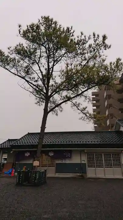 別小江神社の自然