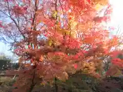 清水寺(京都府)