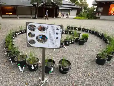 高麗神社(埼玉県)