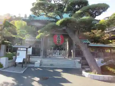 長谷寺の山門・神門