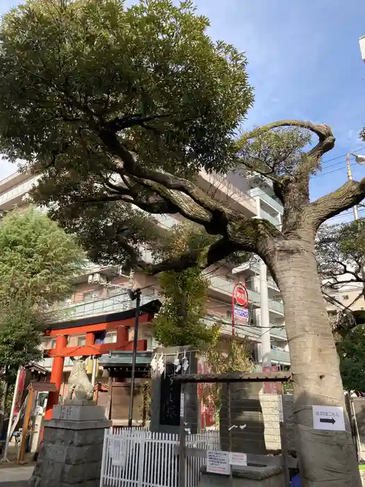 金刀比羅大鷲神社の建物その他