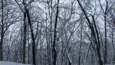 旭山稲荷金刀比羅神社の自然