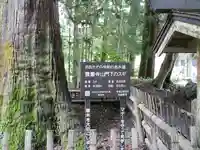 雲巌寺の自然