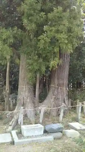 鹿嶋高房神社のその他建物