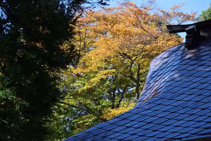 高司神社〜むすびの神の鎮まる社〜の景色