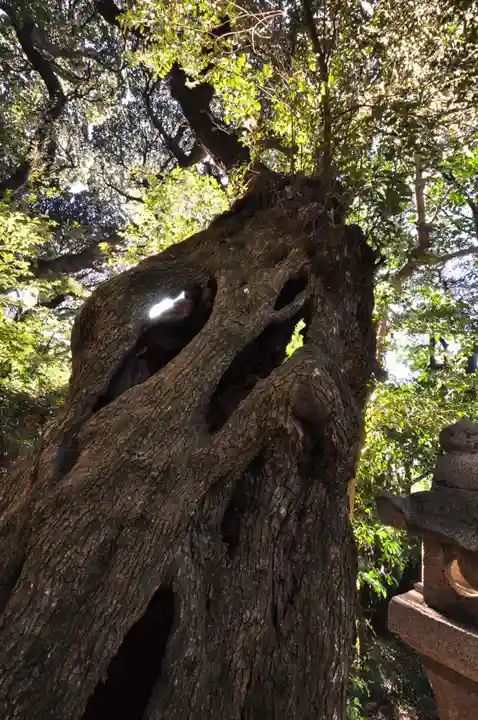 三島神社(愛媛県)