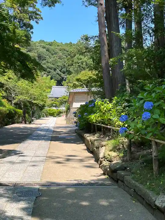 円覚寺(神奈川県)