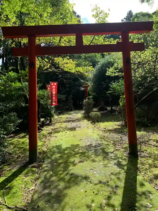金剛證寺の鳥居