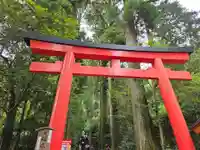 箱根神社の鳥居