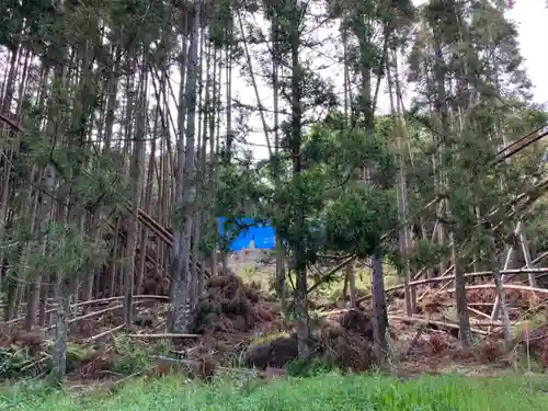 稲荷神社の自然