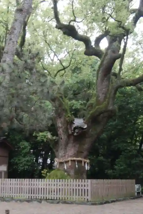 熱田神宮(愛知県)