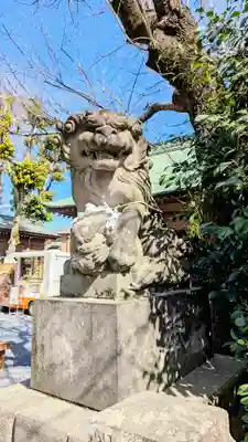 鳩ヶ谷氷川神社の狛犬