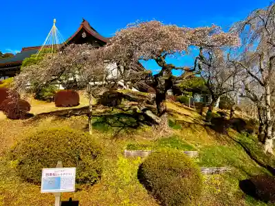 志波彦神社・鹽竈神社(宮城県)