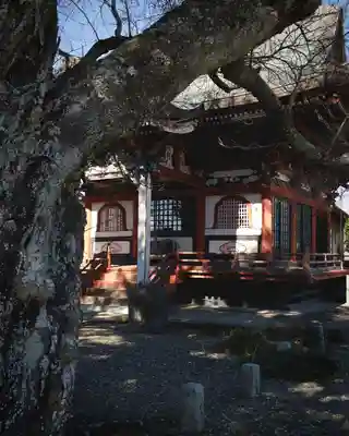 護國院(厄除不動尊)(茨城県)