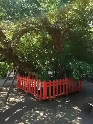 水戸八幡宮(茨城県)