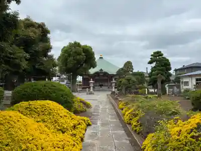 西岸寺(千葉県)