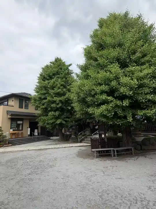 白髭神社の{uncategorized: "未分類", other: "その他", undefined: "問題あり", building: "その他建物", grave: "お墓", sacred_gate: "鳥居", guardian: "狛犬", statue: "像", buddha: "仏像", history: "歴史", nature: "自然", garden: "庭園", animal: "動物", pagoda: "塔", temizu: "手水舎", mountain_gate: "山門・神門", sanctuary: "本殿・本堂", subordinate: "末社・摂社", art: "芸術", scenery: "景色", jizo: "地蔵", ema: "絵馬", goshuin: "御朱印", omikuji: "おみくじ", items: "授与品その他", amulet: "お守り", goshuincho: "御朱印帳", eats: "食事", festival: "お祭り", votive_dance: "神楽", shichigosan: "七五三参", wedding: "結婚式", experience: "体験その他", initially: "初詣", around: "周辺", anti_infection: "感染症対策"}