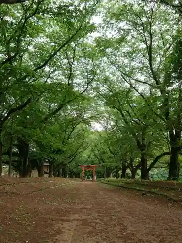 東蕗田天満社のその他建物