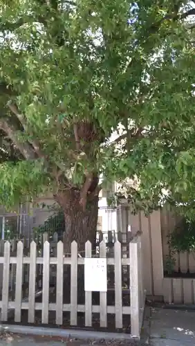 白鳥神社(大阪府)
