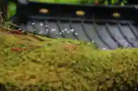 光明院稲荷社の自然