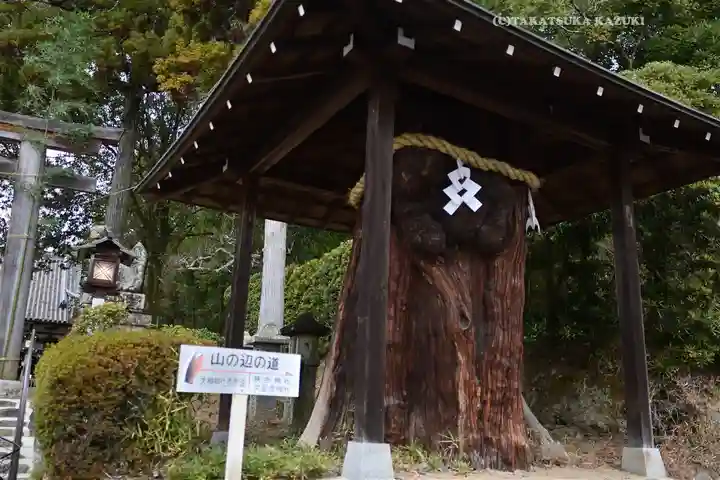 久延彦神社(奈良県)