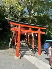 丸山稲荷社（鶴岡八幡宮）の鳥居