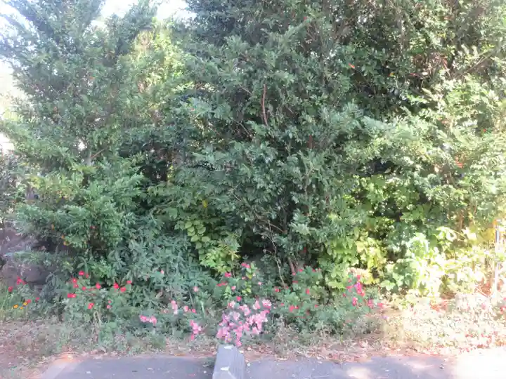 鷺宮八幡神社(東京都)