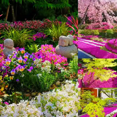 寿量山　速成寺(奈良県)