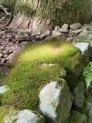 宝積山光前寺の自然