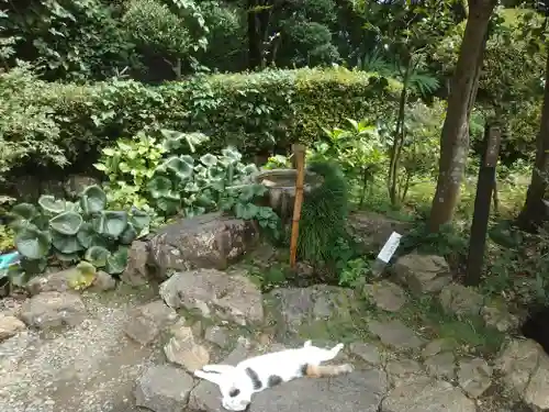 唐澤山神社(栃木県)