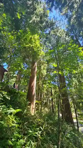 戸隠神社中社(長野県)